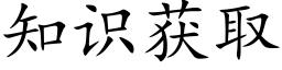 知识获取 (楷体矢量字库)