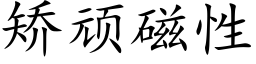 矫顽磁性 (楷体矢量字库)