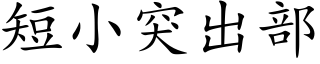 短小突出部 (楷體矢量字庫)