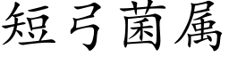 短弓菌属 (楷体矢量字库)