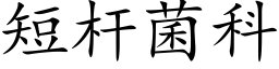 短杆菌科 (楷体矢量字库)