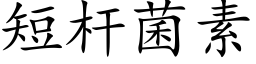 短杆菌素 (楷体矢量字库)