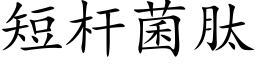 短杆菌肽 (楷體矢量字庫)