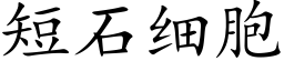 短石細胞 (楷體矢量字庫)