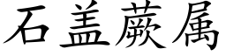 石盖蕨属 (楷体矢量字库)