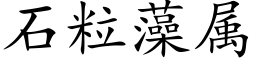 石粒藻屬 (楷體矢量字庫)