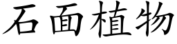 石面植物 (楷體矢量字庫)