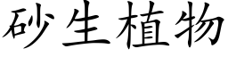 砂生植物 (楷體矢量字庫)