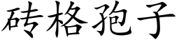 砖格孢子 (楷体矢量字库)