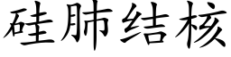 矽肺結核 (楷體矢量字庫)