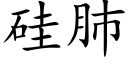 矽肺 (楷體矢量字庫)