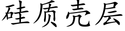 矽質殼層 (楷體矢量字庫)