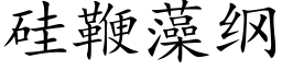 矽鞭藻綱 (楷體矢量字庫)