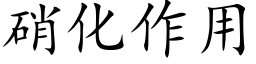 硝化作用 (楷體矢量字庫)