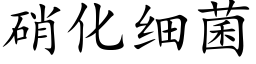 硝化細菌 (楷體矢量字庫)