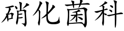 硝化菌科 (楷體矢量字庫)