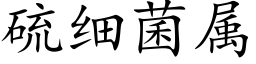 硫细菌属 (楷体矢量字库)