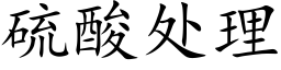 硫酸处理 (楷体矢量字库)