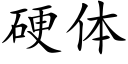 硬体 (楷体矢量字库)