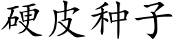 硬皮种子 (楷体矢量字库)