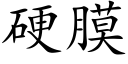 硬膜 (楷体矢量字库)