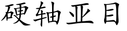 硬轴亚目 (楷体矢量字库)