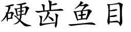 硬齿鱼目 (楷体矢量字库)