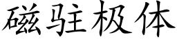 磁驻极体 (楷体矢量字库)