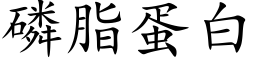 磷脂蛋白 (楷體矢量字庫)