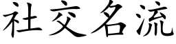 社交名流 (楷体矢量字库)