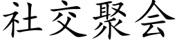 社交聚会 (楷体矢量字库)