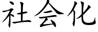 社会化 (楷体矢量字库)