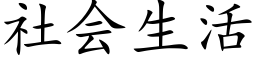 社会生活 (楷体矢量字库)