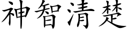 神智清楚 (楷体矢量字库)