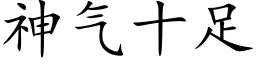 神气十足 (楷体矢量字库)