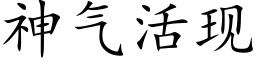 神气活现 (楷体矢量字库)