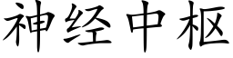 神经中枢 (楷体矢量字库)