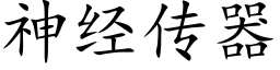 神经传器 (楷体矢量字库)