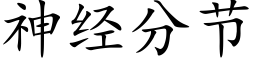 神經分節 (楷體矢量字庫)