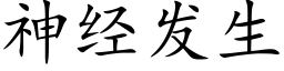 神經發生 (楷體矢量字庫)