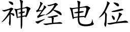 神经电位 (楷体矢量字库)