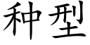 種型 (楷體矢量字庫)