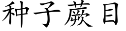 種子蕨目 (楷體矢量字庫)