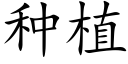 種植 (楷體矢量字庫)