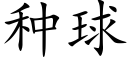 種球 (楷體矢量字庫)