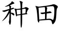 種田 (楷體矢量字庫)