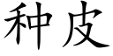 種皮 (楷體矢量字庫)