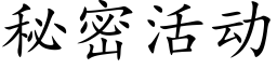 秘密活动 (楷体矢量字库)