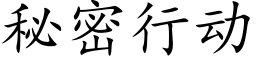 秘密行動 (楷體矢量字庫)