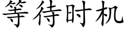 等待時機 (楷體矢量字庫)